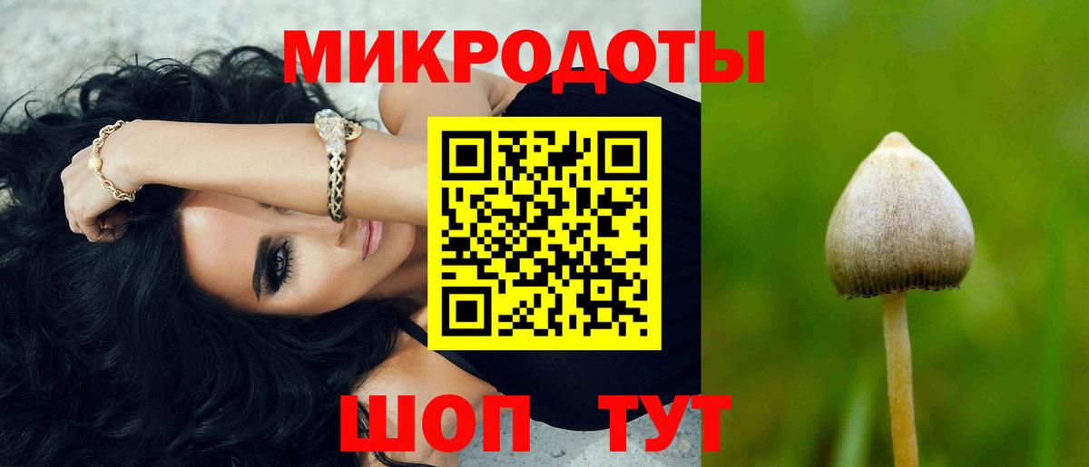 Псилоцибиновые грибы мухоморы Новокузнецк